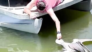 This Kind Man Helped Save The Pelican and Fish! ❤️️????