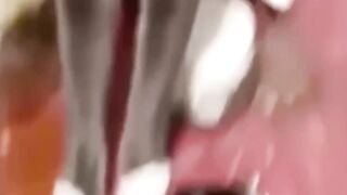 Try Not To Laugh Challenge ???? Funny Cats and Dogs 2023 ???????? 5