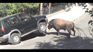 Damn Nature You Scary | Funny Scary Animal Encounters 5