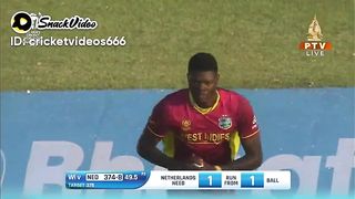 Netherlands beat west indies in qualify round