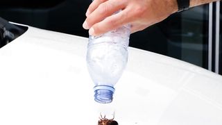 Tips and tricks for a pest-free home and garden