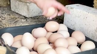 Best dish of 100 chicken eggs 2 omelets in the underground tandoor and furnace