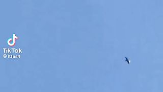 Best falcon hunting