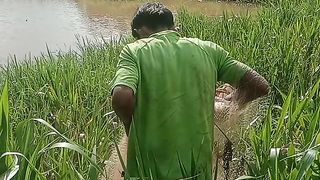 Jala ikan ????????