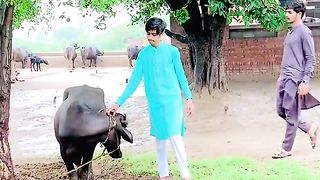 Funny video