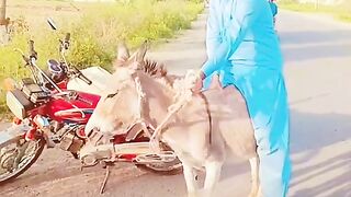 Funny video