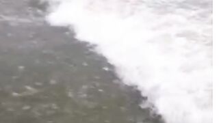 Bawa g enjoying water fall