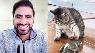 Cat Vs Frog Fight