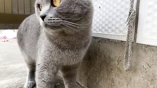 It's the same color as the cement floor, and it's conflicting