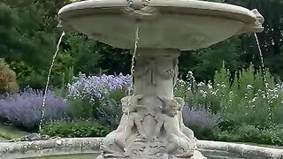 Birds park uk