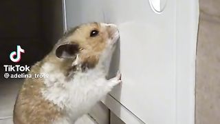 Приколи 134