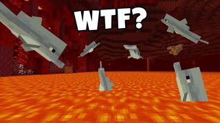 WAIT WHAT (Minecraft) #28