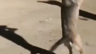 Having fun????????#viral
