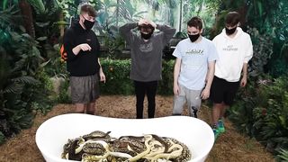 S'asseoir Dans Une Baignoire De Serpents Pour 10 000$