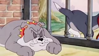 Dog...(Tom and Jerry)