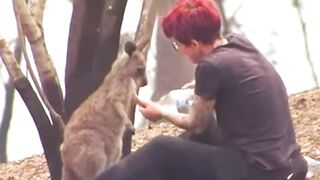 30 Animals That Asked People For Help & Kindness ! 2
