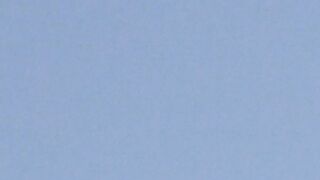 The Military Helicopter (2021)