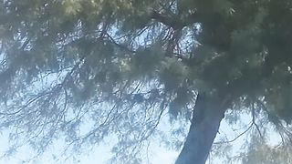 Huey Helicopter Fly-over (Veterans Day 2022)