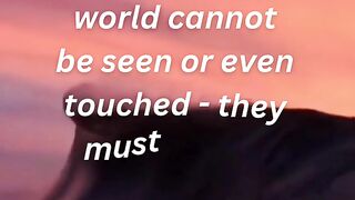 Quotes 41
