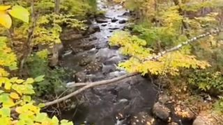 Beauty of nature 28