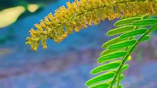 Very beautiful video 4