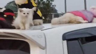 Pelan Pelan Pak Supir