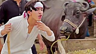FUNNY VIDEO 11