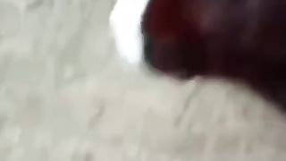 Kucing Lucu Mukanya Putih Badannya hitam