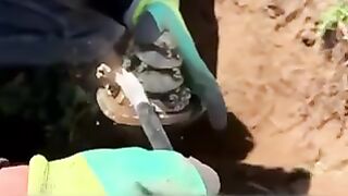 My boi found a gold turtle!