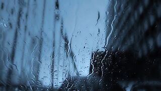 Rain Town Water Pigs evening