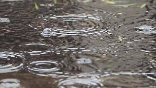 Raindrops is fallen on the earth
