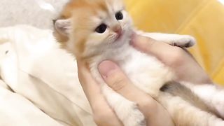 cutie is here again5
