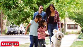 Most Playful Dogs in the World, plus 2 FREE movies in the description!