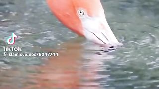 Nature ???????? beautiful