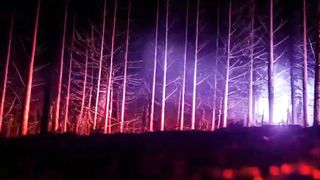 Terminator-Predator Hybrid powered by Stable Diffusion AI Video 2023