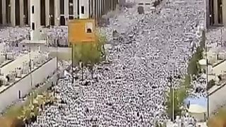 Al arafa