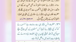 میری جَانب بھی ہو اِک نگاہِ کرم، اے شفیع الواریٰﷺ، خاتم الانبیاءﷺ 79