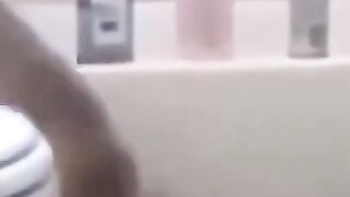 Angry dog