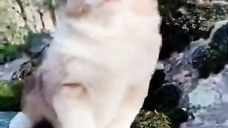baby howls