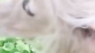 beautiful hair style you have never seen