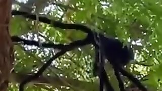 THE BEST DRONE PRANK ON REELS 2