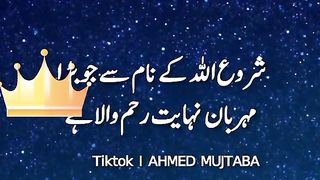 Adeel 3