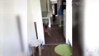 Прыколы 20