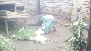 Bagarre