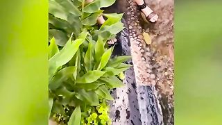 TRY NOT TO LAUGHING I Best Funny Videos Compilation 2023 # 466