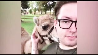 The most hilarious moments of all time