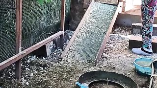 Приколи 141