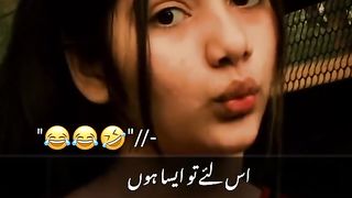 Funny video funny dog funny cat