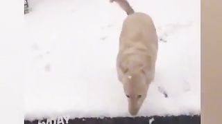 Приколи 153