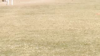 Play hard ball Cricket Match